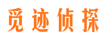 新城侦探公司